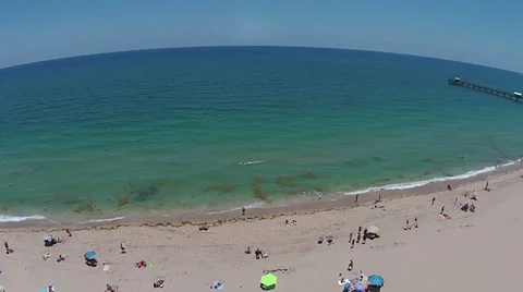 Sandy Florida beach Stock Footage 38873434