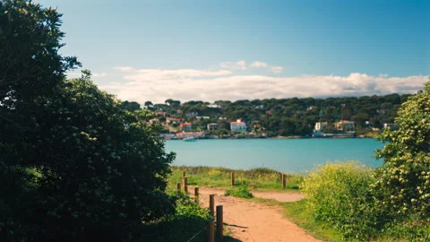 A sandy footpath bordered by wooden posts connected with rope with a coastal Stock Footage 308756422
