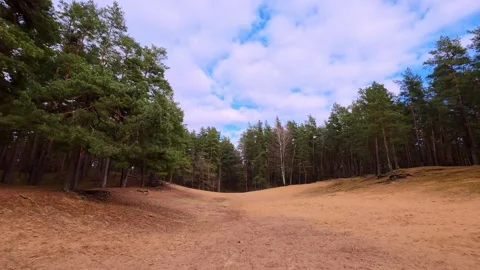 Sandy Forest Path Under Cloudy Sky Stock Footage 332306822
