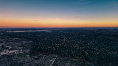 Sandy forrest under the sunset. Stock Photos