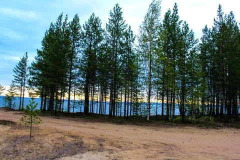 Sandy glade Foto stock