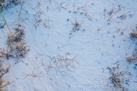 Sandy ground with dry grass Stock Photos