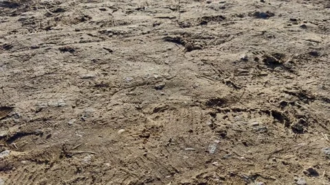 Sandy ground texture with footprints and tire tracks Video stock 330405537
