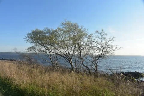 Sandy Hook Bay Views -01 Stock Photos