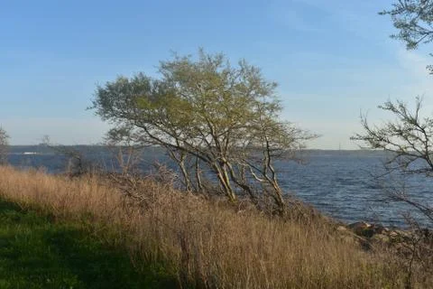 Sandy Hook Bay Views -04 Stock Photos