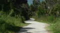 sandy island foot path HD 影片
