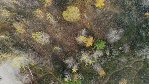 Sandy island on the river. Stock Footage 141774948