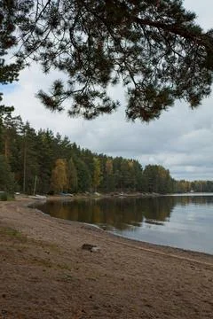 Sandy lake beach. Foto stock
