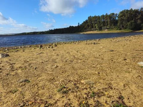 Sandy Lakeside with Distant Trees and Open Sky Stock Photos