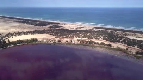 Sandy land with trees between dark pink lake and ocean with waves crashing Stock Footage 208937168