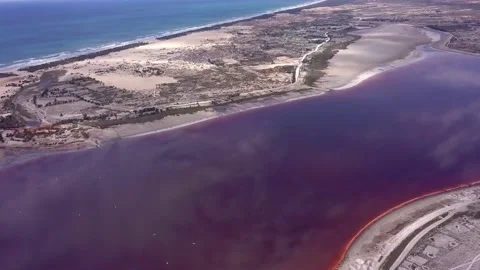 Sandy land with trees between dark pink lake and ocean with waves crashing Video stock 208937174