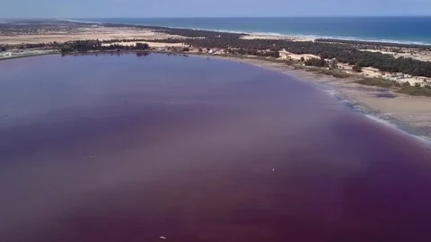 Sandy land with trees between dark pink lake and ocean with waves crashing Stock-Footage 208937236