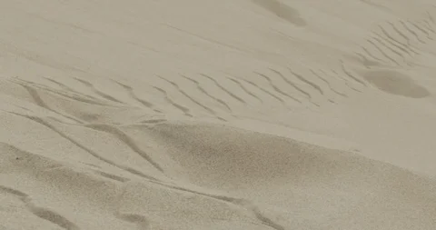 Sandy landscape on a sunny day Stock Footage 107614944