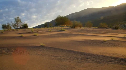 Sandy landscape at sunrise. In the frame of sun glare. Video stock 65149482