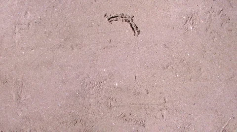 Sandy love Stock Footage 884372