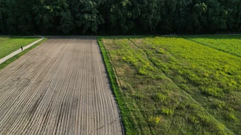 Sandy Meadows and Forest Edge Aerial 4K Drone. Right Travelling Shot. Stock Footage 249399067