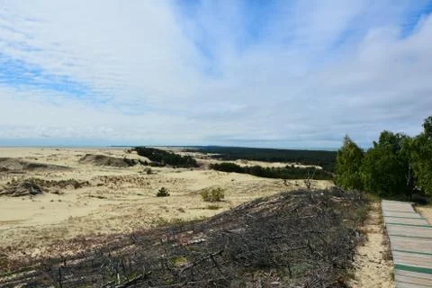 Sandy mounds 写真素材