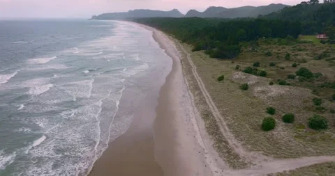 Sandy ocean beach and forest in Opoutere, Whangamata, Coromandel Peninsula, New Stock Footage 284047696