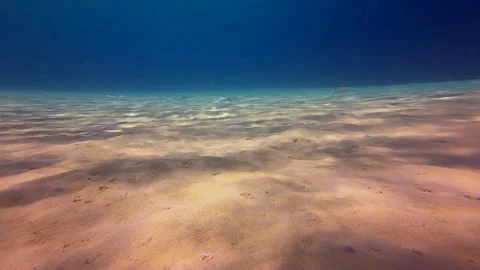Sandy ocean bottom abstract Stock Footage 317190126