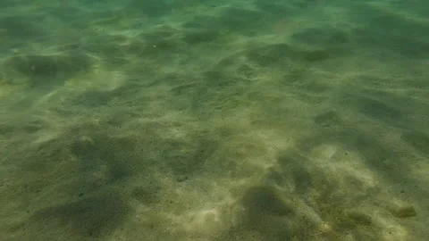 Sandy Ocean Floor Video stock 320347241