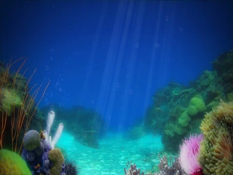 Sandy Ocean Reef Background Stock Footage 81455744