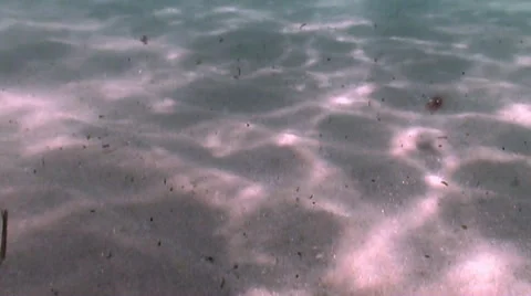 Sandy oceran floor slow motion wide shot Stock Footage 54294540