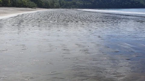 Sandy Pacific Coast at Low Tide Stock Footage 120358680