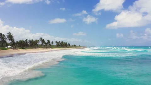 Sandy palm wild beach view from the sea. Stock Footage 178313751