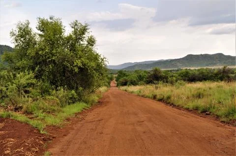 A sandy path into the african bush Stock Photos