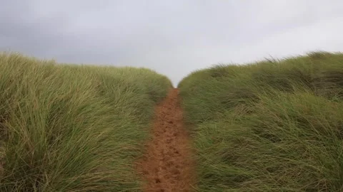 A Sandy Path Among Lush Grass Swaying in the Wind Stock Footage 255888425
