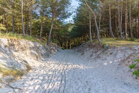 Sandy path to the beach at Baltic sea Stock Photos