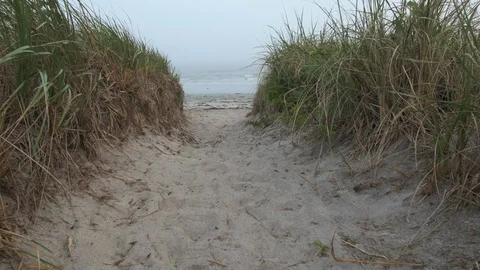 Sandy path to the beach on a cloudy day Stock Footage 95624496