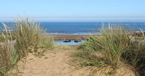 Sandy path to the beach Stock Footage 109445752
