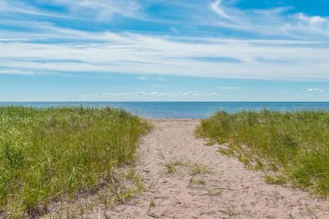 Sandy path to the beach Stock Photos