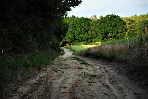 A sandy path between forest and field Stock Photos