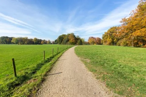 Sandy path between green meadows with autumn colors Stock Photos