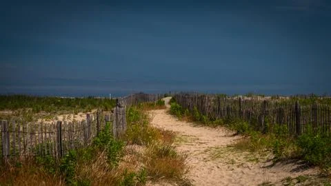 Sandy path between rustic wooden fences and wild vegetation. Stock Photos