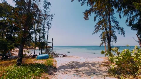 Sandy Path Framed by Trees Leading to Calm Tropical Beach Stock Footage 337582778