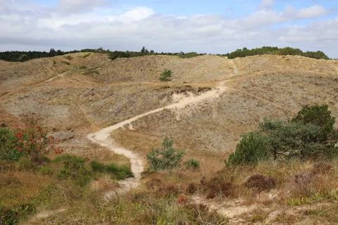 Sandy path going up the sand dunes Stock Photos