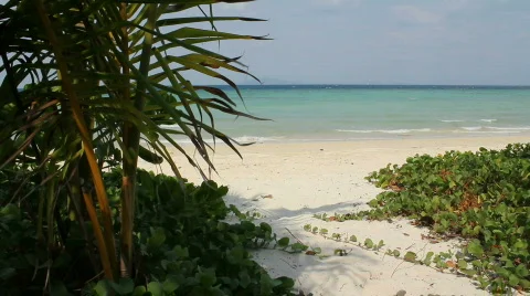 Sandy Path Leading to Private Beach Stock Footage 664328