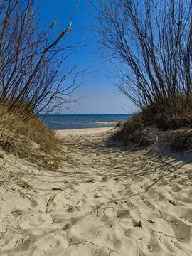Sandy path leading through dry bushes to tranquil sea under clear blue sky... Foto stock