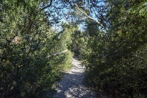 Sandy path Stock Photos