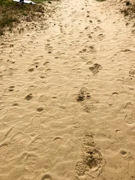 Sandy Path 写真素材