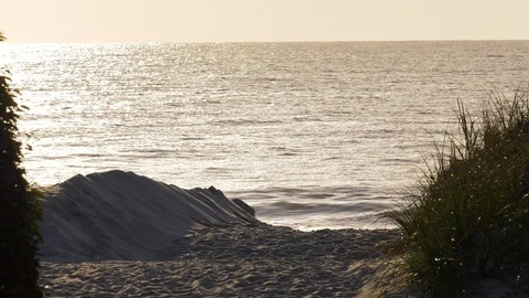 Sandy path to sunrise at the beach Stock Footage 93213536