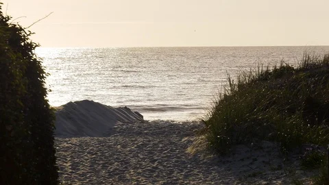 Sandy path to sunrise at the beach Stock Footage 93213565
