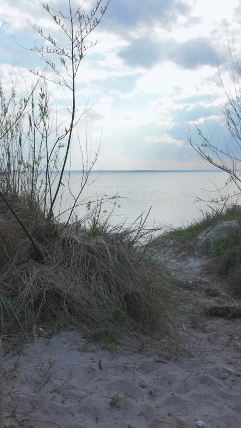 Sandy Path Through Dunes To Calm Sea At Sunset Stock Footage 344914436
