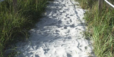 Sandy path through grass leading towards the sea Stock Footage 103486555