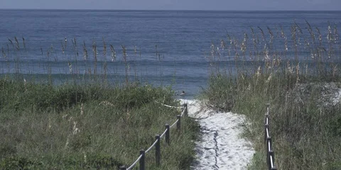 Sandy path through grass leading towards the sea Stock Footage 103491137
