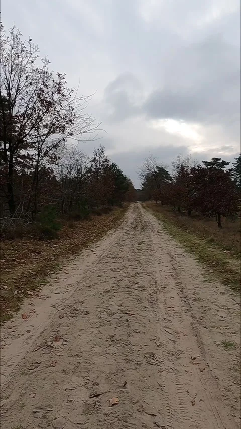 Sandy path through a heath and forest landscape in the Netherlands. Stock-Footage 341903037