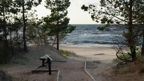 Sandy path through pine trees leading to windy ocean shore with gentle waves and Stock Footage 346558437